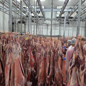 Viande Bœuf carcasse d'Espagne  - viandes et oeufs bonjour,  nous sommes fournisseurs de viande de bœuf en carcasse important en espagne,  frais et congelé avec certificat halal,  a des prix très compétitif, possibilité de livraison partout dans le monde,  veuillez nous contacté pour plus de détail,  les non