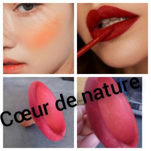 Vente des produits cosmétiques 100% du Maroc  - hygiene entretien vente d'un trésor de l'argile de aker fassi un produit trend 100 '% marocain de nos mères berbères 2 en 1 blush et rouge à lèvres couleur  rouge brique ou orange peche   vous donne un effet naturel pour votre  élégance  ,   on a cassé les prix d