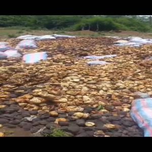 achat de caoutchouc font de tasse naturel  - matiere vegetale une société d'achat de caoutchouc recherche du caoutchouc naturel de cote d, ivoire (hévéa) 5 000 tonnes pour le mois mars lieur de réception du produit au port d’abidjan et  bien d, autre. offre exclusivement réservée au. prix - apromac  plus 20f  --nb