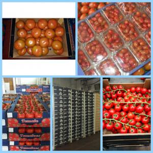 TOMATOS VEGETEABLE - fruits and vegetables as usual your supplier my stand offers you round,  cherry,  grapp,  elongated tomatoes in good quality condition and packaging with ousans transport contact us for more info.