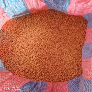 Soyabeans  - cereals we have soyabeans in large quantity. we can delivery to inde. ou payement conditions is lc... any geniune buyer are welcome .... thanks you very much