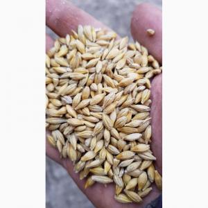 Feed barley/ Orges alimentation animalières  - cereals feed barley/ orges pour alimentation animalières --minimum quantity 3000 mt-- fob port azov mer noir--feed barley used for animal nutrition --we can supply you any quantities  --please send your specifications 