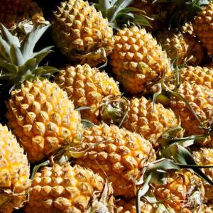 Victoria Pineapple   - fruits and vegetables looking for wholesaler or retailer for pineapple  victoria from mauritius island. --export can be done to all european country ,  usa & canada.