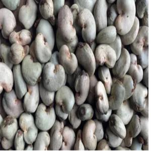 RAW CASHEW NUTS 2024 CROP HARVEST - roasted seeds and nuts we are general exporters and producers of raw cahew nuts of all grads starting our ne season harvest for 2024 by january in benin republic and togo with our sister companyw e can meet up with 8, 000 mt monthly ,  we are looking for buyers for our 2024 harvest and for a long term business relationship, 