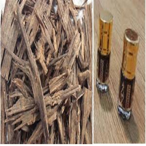 Agarwood (oud, gaharu wood, eagle wood) - horticulture plant biofuel dear sir/madam,  (hs 121190)--we would like to offer various derivative product of agarwood (oud) (gaharu) (chen xiang) (eagle wood) (aloeswood) (kalambac) (jinkoh) (gridsanah). available in- oil,  perfume,  incense,  bit for aromatherapy,  etc.. product of indonesia. kindly contact for further details. 