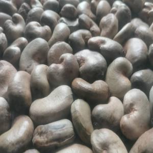 Cashew kernel and Dried Raw Cashew  - roasted seeds and nuts hello,  we are a company specialized and looking for business partners to sale ours products- --cashew kernel and                                                                                                                                                                                dried raw ca