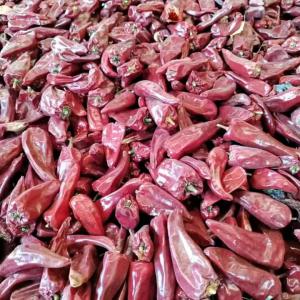 Le piment rouge du Bénin  - épices aromates nous avons du piment rouge séché et non séché disponible à vendre.--nous avons également toutes épiceries de la cuisine.--nb plaisentain s’abstenir 