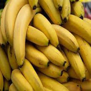 cherche fournisseur des bananes au cote d ivoire - fruits et légumes cherche fournisseur des bananes au cote d ivoire pour importer 650 tonnes chaque mois en algerie--svp envoyer moi le prix en ciif agerie--