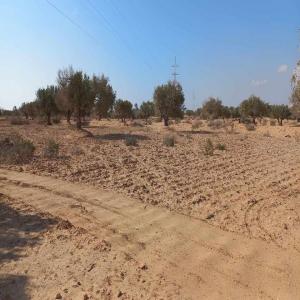 un terrain a vendre a tunis djerba chbebiya  - mine terrain concession   un terrain à vendre à djerba,  à moins de 1 km de la mer et de la zone touristique. --le métrage 5200 m²--le prix au mètre est de 65 dinars--les papiers de propriété sont une preuve légale--