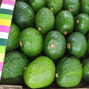 Avocat : Hass et Fuerte - fruits et légumes nous sommes producteurs et exportateurs d'avocat en tanzanie et au kenya--nous cherchons des partenaires serieux de l'europe et d'asie --veuillez nous contacter 