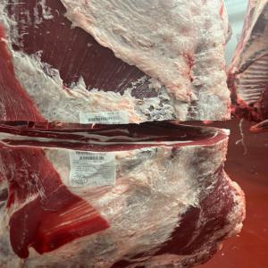 Viande-Carcasse certifiée  - viandes et oeufs commercialisation viandes-carcasses avec certifications issus de nos propres fermes familiales sises en espagne--- carcasse bœuf ---poids +/- 340-380kg--*prix selon quantité pays et/ou port de livraison---carcasse agneau ---poids +/- 17-22kg--+/- 13-16kg--*prix selon quantité pay