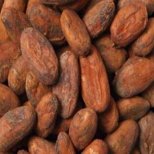 Agriculteur au Cameroun: Cacao;  café; poivre igp - café cacao thé notre entreprise basée en france,  mène des activités agricoles au cameroun ou nous avons des plantations de cacao. nous menons également des activités agricoles dans le café arabica et le poivre de penja(igp)--pour toute entreprise en europe intéress&