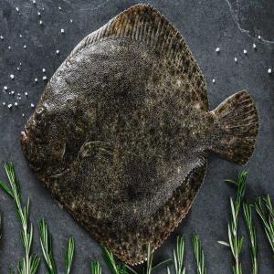 Poisson de la Mer Noire - poissons mesdames,  messieurs bonjour, --actuellement  en françe,  nous sommes en recherche de distributeur de poisson sauvage de la mer noire  jusqu'au 100 tonnes par an,  y compris  turbot,  tassergal,  alose pontique,  bonite,  chinchard,   anchois commun,  aiguillat commun,  congelées au mieux ou bien