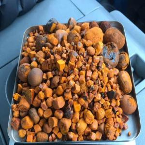 Quality Grade A Ox Gallstones For Sale - other x-gallstones. good quality means stones should be golden brown in color, --whole and very well dried so that molds should not set in. 2/3 broken--stones and 1/3 powder.contact for details----ox gallstones cattle gallstones cow gallstones--100% whole stones--90% whole stones / 10% broken----specificat