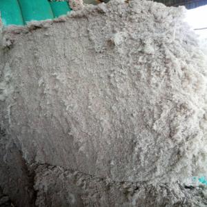 Cotton lint cleaner  - autres je dispose de 100 tonnes de cotton lint cleaner au prix de 250 milles fcfa la tonne. stock déjà traité et près pour emballage.  intéressé,   ne manquez pas cette offre.