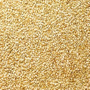 GRAINES DE SESAME DU NIGERIA - semence graine plant bonjour,  ----nous sommes une société spécialisée dans la commercialisation de graines de sésame (origine nigéria et niger).--nous pouvons vous fournir les quantités souhaitées,  d’une qualité irréprochable à des tarifs tr&eg