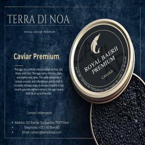 CAVIAR BAERII  - poissons  bienvenue dans le monde du raffinement gastronomique !--plongez dans l'opulence avec notre caviar baeri d'exception ! --vous recherchez une expérience culinaire incomparable ? notre caviar baeri,  élevé avec soin et délicatesse,  circuit ouvert -- origine - espagne-- quali