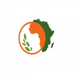 Matière première alimentaire et cosmétiques bio - matiere vegetale nous proposons différentes matières première cosmétique et alimentaire bio venant de nos producteur d'afrique de l'ouest. nos produit - huile de baobab,  hibiscus,  dattier du désert,  moringa,  poudre de baobab,  poudre de moringa,  fleurs hibiscus,  beurre de karit&eacu