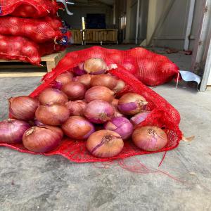 Onion  - fruits and vegetables red ,  yellow and white onion  available to export.in bag 20 or 25 kg please contact about all information