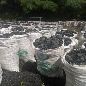 We Supply Hardwood Charcoal for Industries - renewable energy our charcoal operations started back in 2011 with multiple informal operations ,  being a small charcoal producing and processing business until 20222. eco energy limited ’s operations have since expanded into functional,  conveyor- based and electrical/ electronically supported sieving-,  processing- 