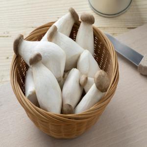 production de champignon type pleurotes du panica - champignon levure en cours de création  notre entreprise agricole  produit des champignons de types pleurotus eryndii. (frais et marinés) .nous sommes intéressés  par tout types de partenariats (clients ou fournisseurs).