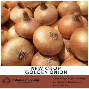 fresh onion  - fruits and vegetables we would like to offer our  fresh onion --variety- red-golden--origin- egypt--availability- --• onion's season from now to february.--price- depended on package and destination--onion specification----• size - all sizes according to customer request--• color - full color --• class 1--packing availab