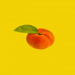 Producteur et vendeur d'abricot  - fruits et légumes fiers de nos siècles d'héritages. laissez nos abricots vous transporter dans un monde de saveurs délicieuses et de fraîcheur naturelle. faites confiance à nos producteurs partenaires--grâce à nos méthodes de production de pointe et à notre