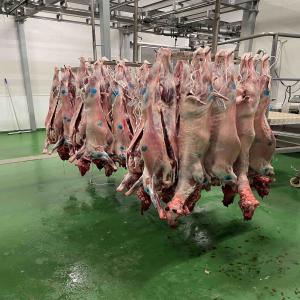 VENTE CARCASES AGNEAUX HALAL  ESPAGNE   - viandes et oeufs carcasses agneaux halal poids de 18/22kg nous avons des agneaux pour sacrifier le jour de l'aïd juin 2024.