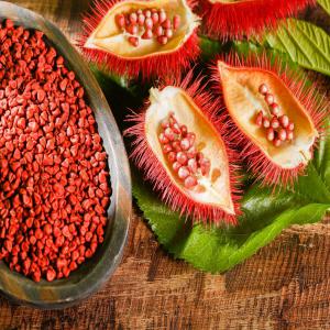 100% Natural Annatto Seed For Sale - seed plant seed instruction for use -dried annatto powder for food coloring----shelf life -4 months--style -	dried--processing type- raw--shape- piece--color- natural red--weight (kg) -	50--product name- dried red color annatto seeds--type - natural color spices--grade -	100% pure natural food grade--purity- 98%--c