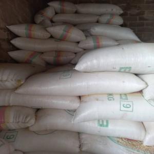 Vente de maïs  - céréales maïs blanc en stock dispo dans la ville de yaoundé cameroun. conditions de sac 100kg/ prix 255f kilo 