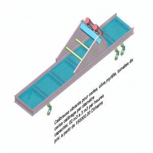 CALIBREUSE VIBRANTE POUR FRUITS ET LEGUMES - fruits et légumes calibreuse vibrante pour fruits et legumes calibreuse vibrante a rouleaux mobiles concernant fruits et légumes,  cerise,  olives,  myrtilles,  tomates de cerise--calibrage- par diamètre--capacité- 0, 2 m 3 à 3 m 3 par heures--construction- inox 304 l 220/380 volts 50 hz(maroc)