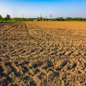 un terrain agricole dans la région taroudant - autres j'ai un terrain agricole d 'une surface 70hectar pour faire tous type agrumes et banane et aussi les légumes.--il contient 2 puits et un bassin et grande maison et un maison pour les employés .encor des magasins pour pesticide pour plus des infos contacter moi.