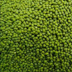  Green Mung Bean For Sale  - other specification----name- green mung bean--product type- green mung bean--style- dried--cultivation type- common--packaging- pp--color- natural color.--moisture- 14% max   --admixture- 1% max--imperfect rate- 3% max--size- 2.8mm+, 3.0mm+, 3.2mm+, 3.5mm+     --packing- paper bag,  woven bag or as per custom