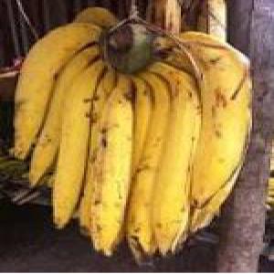 BANANE PLANTAIN DE MADAGASCAR - fruits et légumes bonjour, ----nous sommes à la recherche des clients des bananes plantains ou banane verte ou jaune venant de madagascar vers maurice, mayotte, réunion ou l'ile pres de mada,  si vous etes interessé,  veuillez nous contacter svp.------cordialement, 