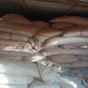 DESTOKAGE DE GRAINS De CAJOUX - autres bonjour;  nous sommes une société de droit camerounais basé à touboro et notre client grossiste de grains de cajoux dispose d'un important stocke dans son magasin a moundou au tchad;----