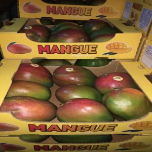 Mangue kent du sénégal de qualité premium  - fruits et légumes bonjour,  nous sommes des exportateurs sénégalais de fruits et légumes. --bientôt la saison des mangues au sénégal(mi juin début juillet) nous  vous proposons des mangues de qualité premium certifiées global gap avec certificat phytosanita