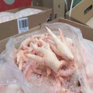 HALAL Frozen Chicken Feet wholesale - meat and eggs chicken companies frozen poultry chicken companies frozen poultry chicken in bulk chicken feet price bulk chicken suppliers wholesale chicken suppliers poultry producers chicken suppliers bulk buy chicken breast wholesale poultry suppliers frozen chicken production poultry companies chicken vendorsw