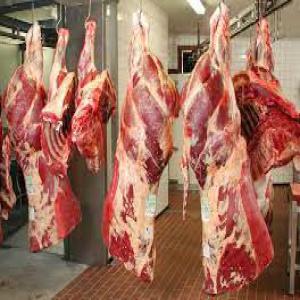 Cattle Meat available - meat and eggs we have cattle meat available in large quantities and we supply as from one container.--we accept sblc so contact us for quotations.