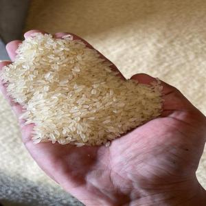 Buying rice - cereals i am an importer.i look for a good quality rice to import it to libya.i need big quantity per month.just contact me here or via whatsapp