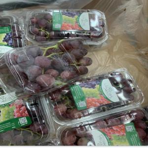 Raisin  - fruits et légumes salut tout le monde,  nous disposons en grande quantité des fruits de raisin d'origine égyptien pour toute vos besoins d'achat en fob ou cif veuillez nous laisser un message ou nous contacter directement par whatsapp... merci pour votre compréhension 