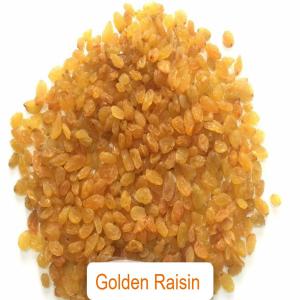 Dry Raisin Golden - roasted seeds and nuts we are pleased to offer premium dry golden raisins for sale. carefully selected and sun-dried to perfection,  our golden raisins are rich in flavor and nutrients,  making them ideal for your culinary creations and health products. elevate your produce and products with our high-quality dry golden rais