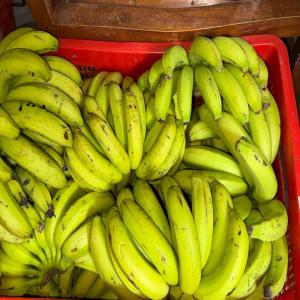 Recherche de client ou grossiste - fruits et légumes recherche de client ou grossiste a ile de la reunion .--exportation- --bananes mure / bananes vert --manioc --ail --pomme de terre --oignons--tomatoes --petit piment / gros piment ----depuis ile maurice contacter - nous pour plus de info .--merci