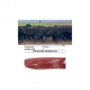 URUGUAY NATURAL---Carne - viandes et oeufs deseo contactarme con empresa importadora con capacidad comprobable para importar desde uruguay carne bovina, ovina, de res, cuartos, cortes c/hueso, cortes deshuesado.enfriado, congelados.uruguay natural.--importacionválida para todo mercado-u.e, nafta, medio oriente, áfrica, rusia, israel.china.--uruguay nat