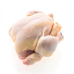 Vente de poulets de chair - viandes et oeufs vente de poulets de chair au kilos à 2200f et par pièce à 3500 fcfa sur tout le territoire sénégalais.--possibilité d'exportation également.--merci de me contacter pour toute demande complémentaire.--