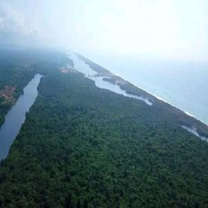 Je vends des forêts  - autres je dispose des terrains déjà en production donc les personnes souhaitent mettre en garantie et d'autres veulent vendre --pour les interressé veillez me contacter par whatsapp----les terrains par de 7 à 30 hectares 