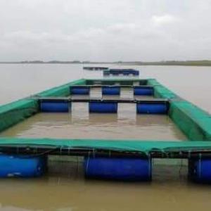 RECHERCHE D'INVESTISSEURS  - capital investment investing in fish farming is a profitable and essential activity for our countries in africa in view of the quantity of tonnes of frozen fish that our countries import each year,  sometimes tested not in conformity with consumption.---- any investor wanting to make income should be interested in this