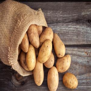 Pomme de terre. - fruits et légumes entreprise de négoce--nous avons de la pomme de terre à fournir,  grosse quantité.  très bon prix --n'hésiter pas à nous contacter ------------