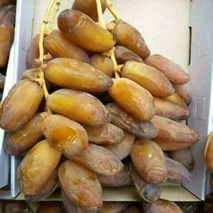 DATTES - fruits et légumes la saison des dattes s'approche,  nous vous offrons des dattes  deglet nour  de tunisie ( branchées,  standards et conditionnées) de bonne qualité avec des prix très intéressants. veuillez réserver vos besoins,  nous vous garantissons un meilleur rapport qualit