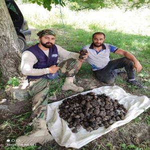 Bonjour  cherche des clients pour truffe noir - champignon levure bonjour --je recherche des clients pour truffe noir de qualité en provenance de bulgarie,  de quantités à votre convenance. --