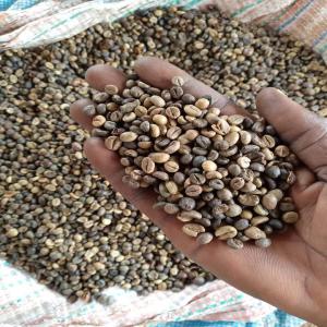 grains de café et café vert  - café cacao thé le ccicsgroup cherche un fournisseur sérieux de grains de café et de café vert.--merci de nous contacter sur whatsapp 